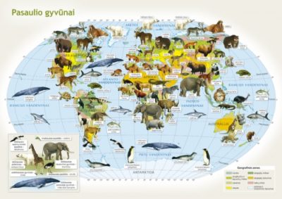 animals and plants of