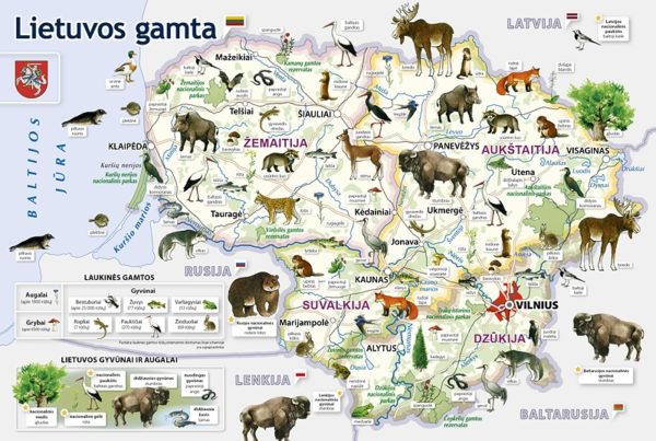 Lithuanian nature. Children puzzle - Image 2