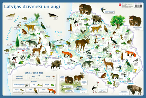 Animals and plants of Latvia. Desk pad