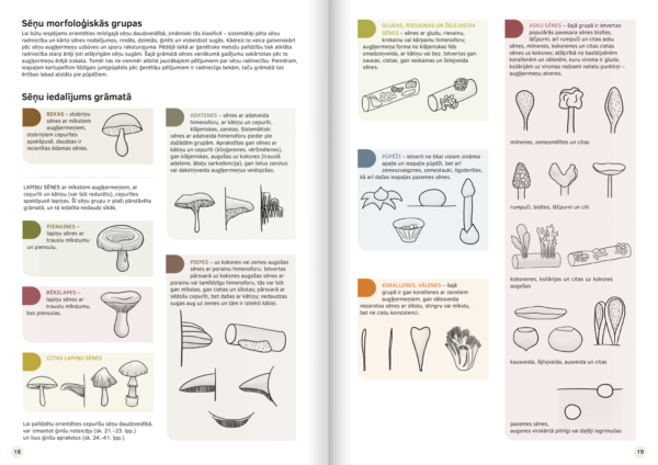 Book “The Great Latvian Mushroom Book” - Image 2