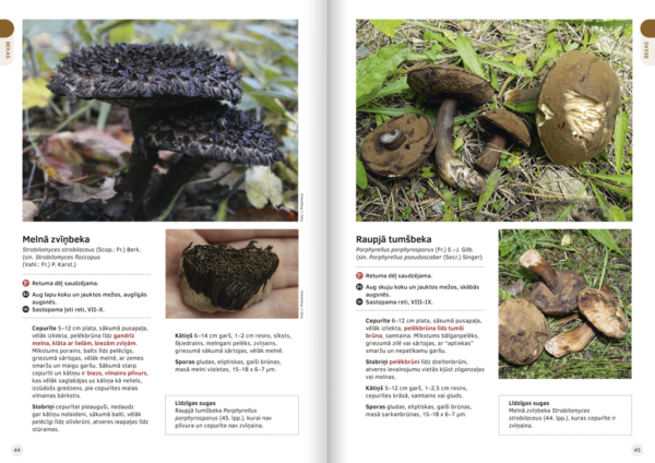 Book “The Great Latvian Mushroom Book” - Image 4