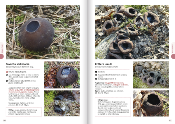 Book “The Great Latvian Mushroom Book” - Image 8