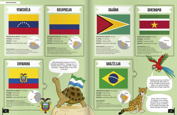 Book of Maps and Flags - Image 4