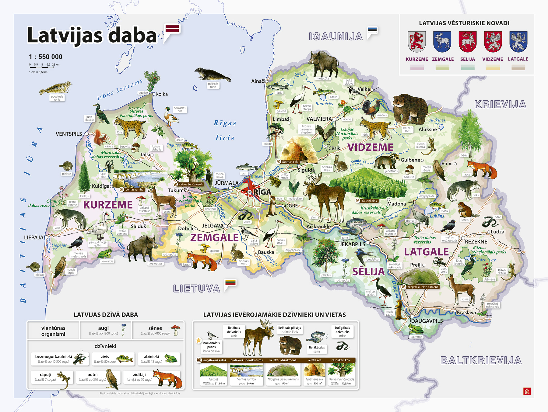 Latvijas daba. Sienas karte - Image 2