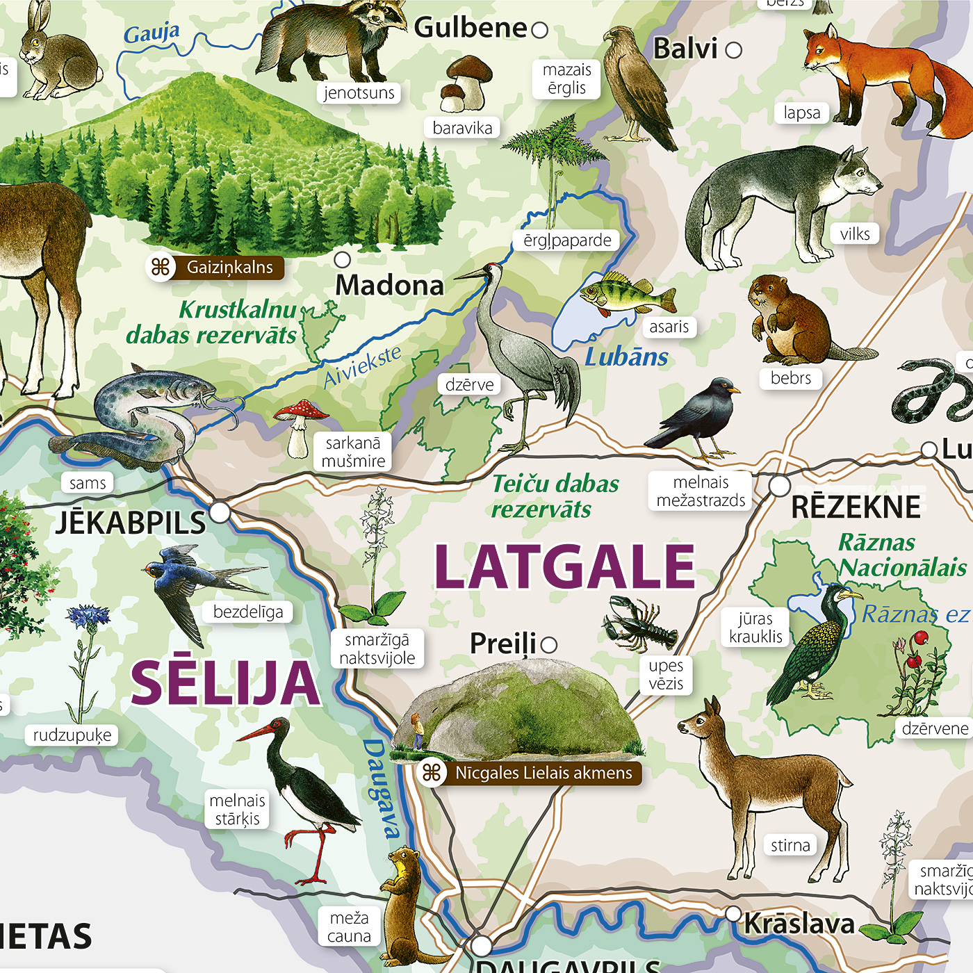 Latvijas daba. Sienas karte - Image 3