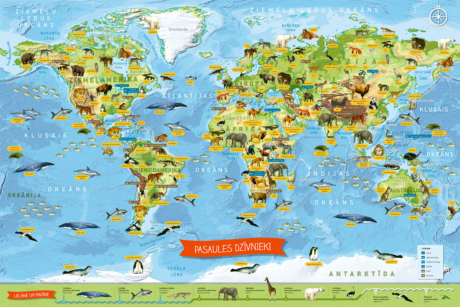 Animals of the world. Children puzzle (in Latvian) - Image 3